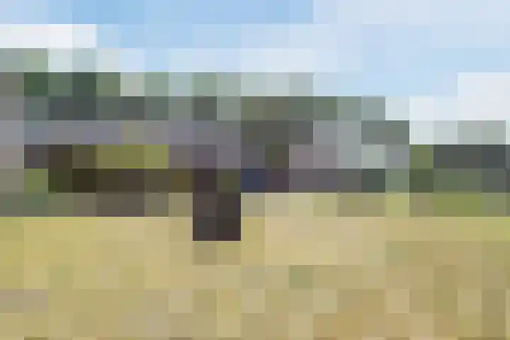 Zeelandsedijk 10 Elsendorp thumbnail 40