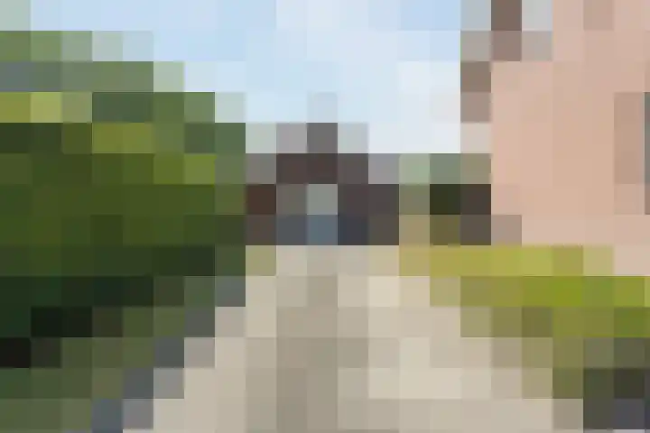 Zeelandsedijk 10 Elsendorp thumbnail 41