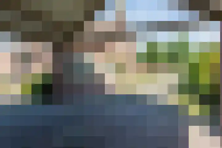 Zeelandsedijk 10 Elsendorp thumbnail 43