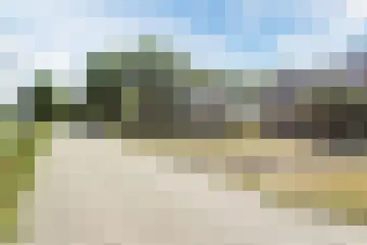 Zeelandsedijk 10 Elsendorp thumbnail 45