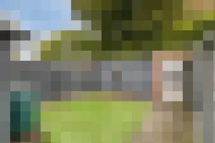 Zeelandsedijk 25 Elsendorp thumbnail 30