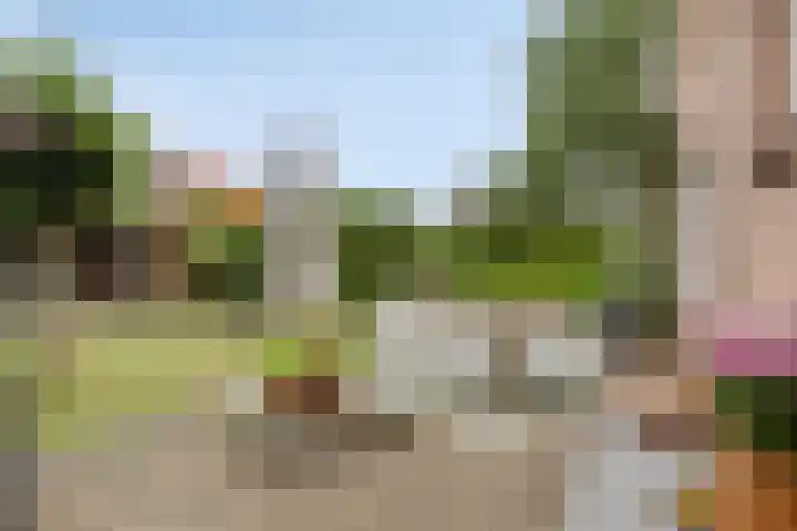 Zeelandsestraat 10 Millingen aan de Rijn thumbnail 36