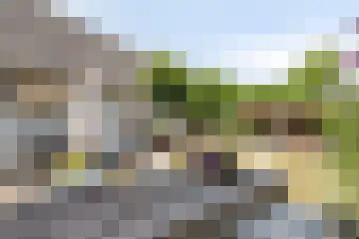Zeelandsestraat 10 Millingen aan de Rijn thumbnail 37