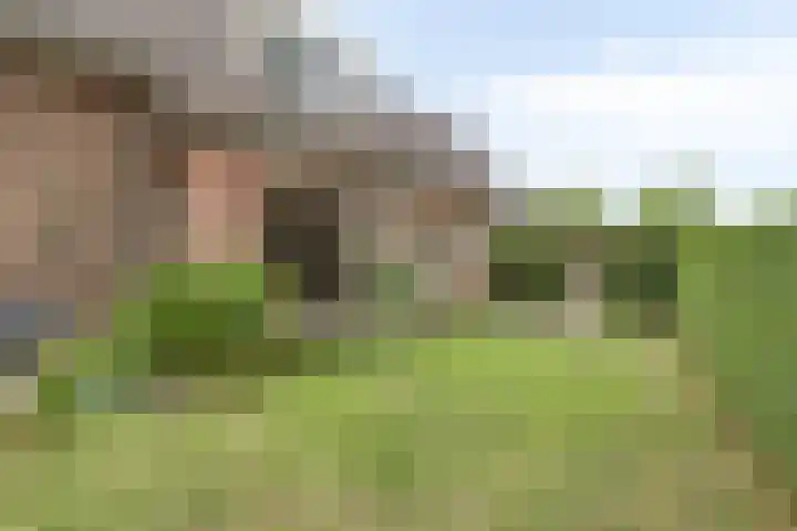 Zeelandsestraat 10 Millingen aan de Rijn thumbnail 39