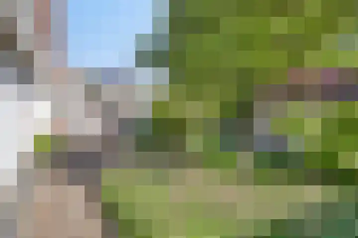 Zeelandsestraat 17 Millingen aan de Rijn thumbnail 27