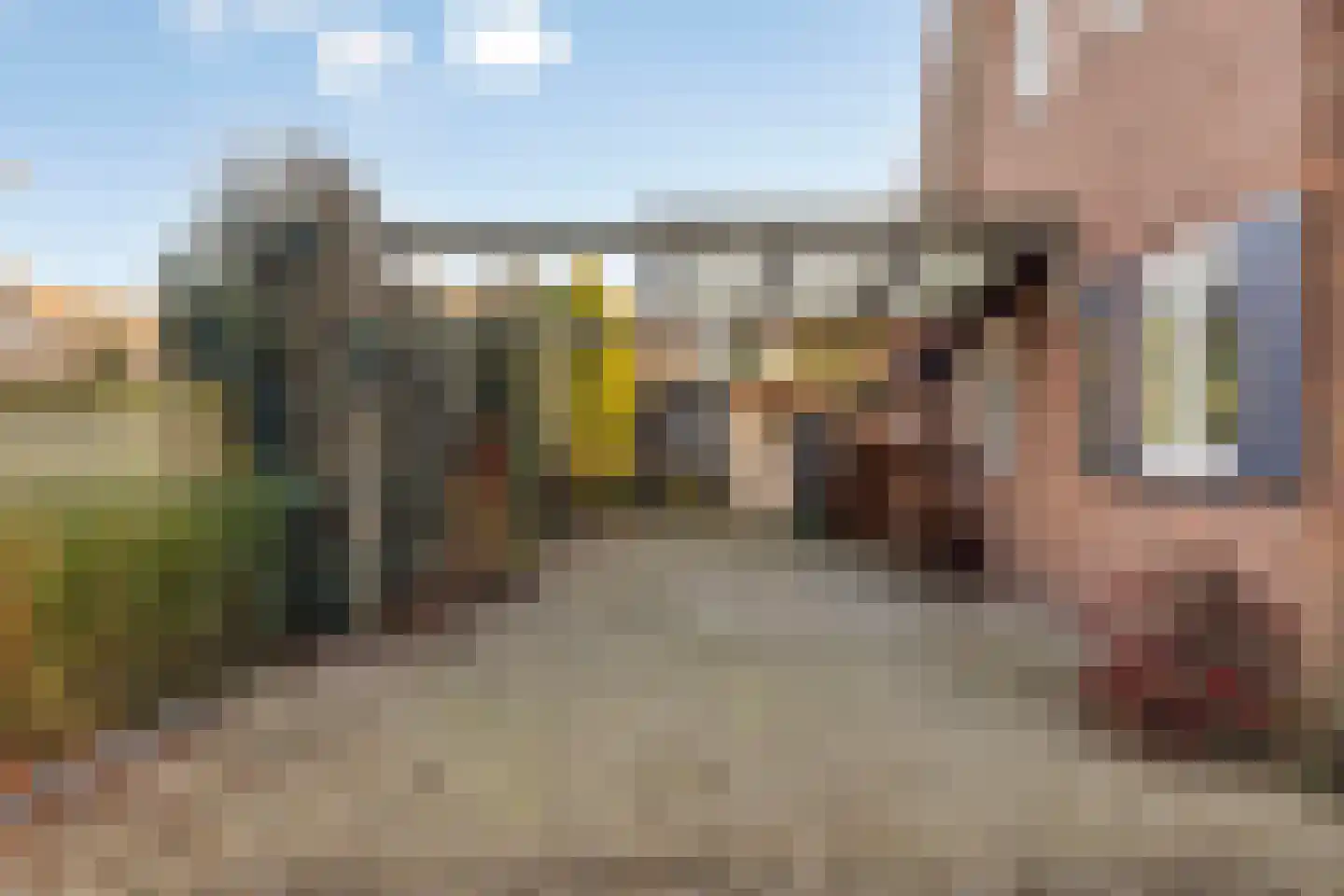 Zeelandsestraat 29 Millingen aan de Rijn thumbnail 19