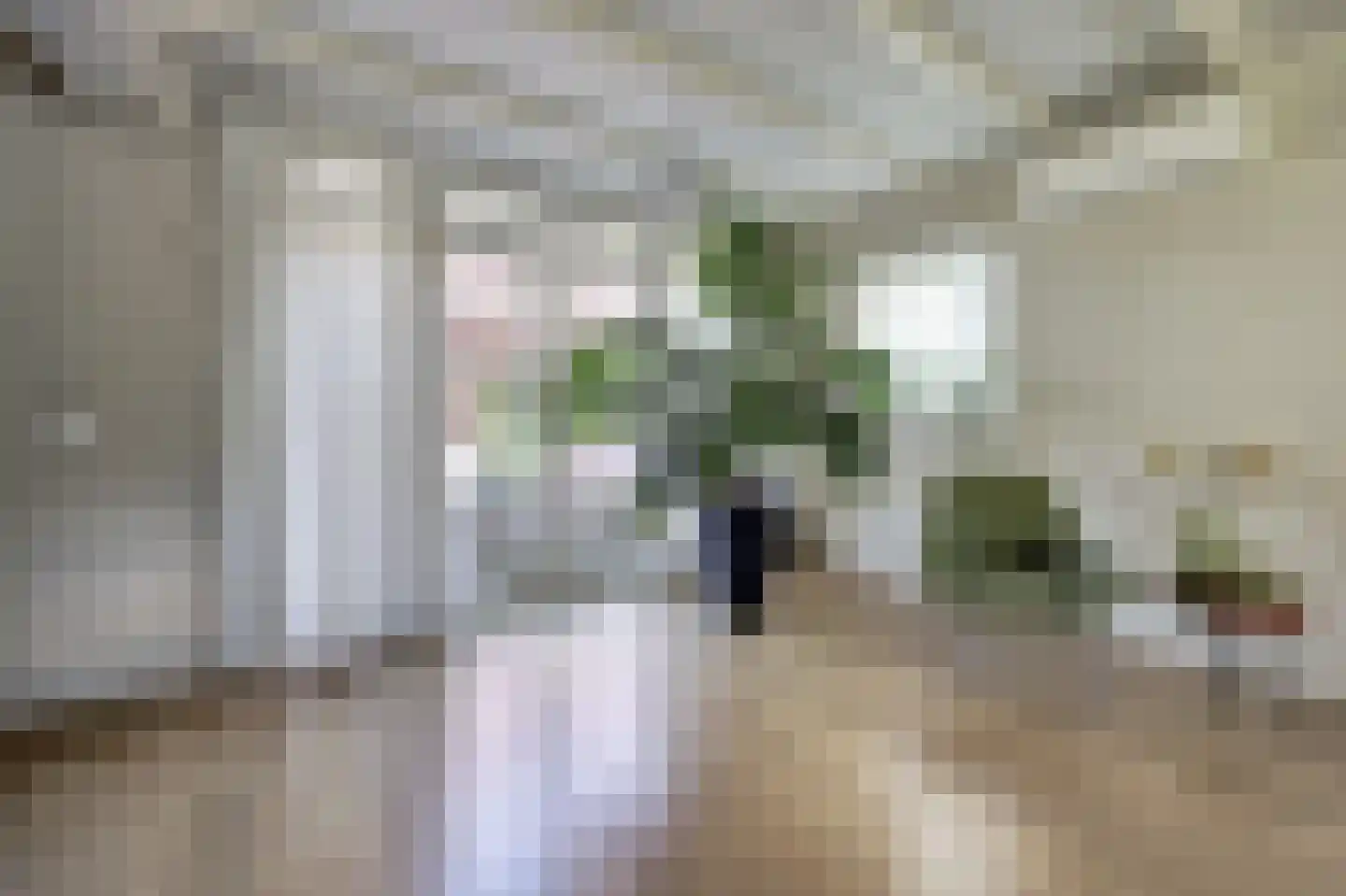 Zeelandsestraat 41 Millingen aan de Rijn thumbnail 12