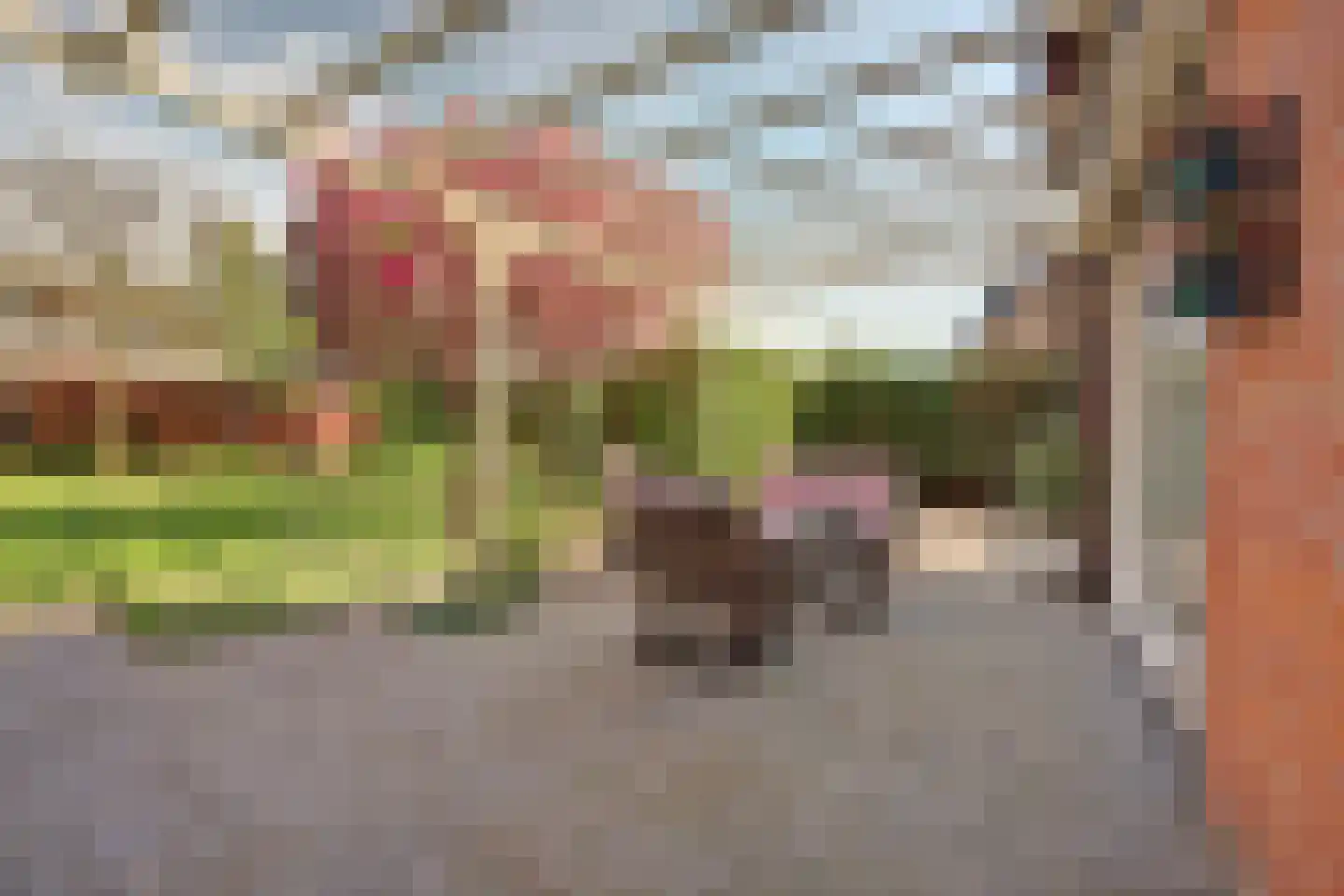 Zeelandsestraat 41 Millingen aan de Rijn thumbnail 39