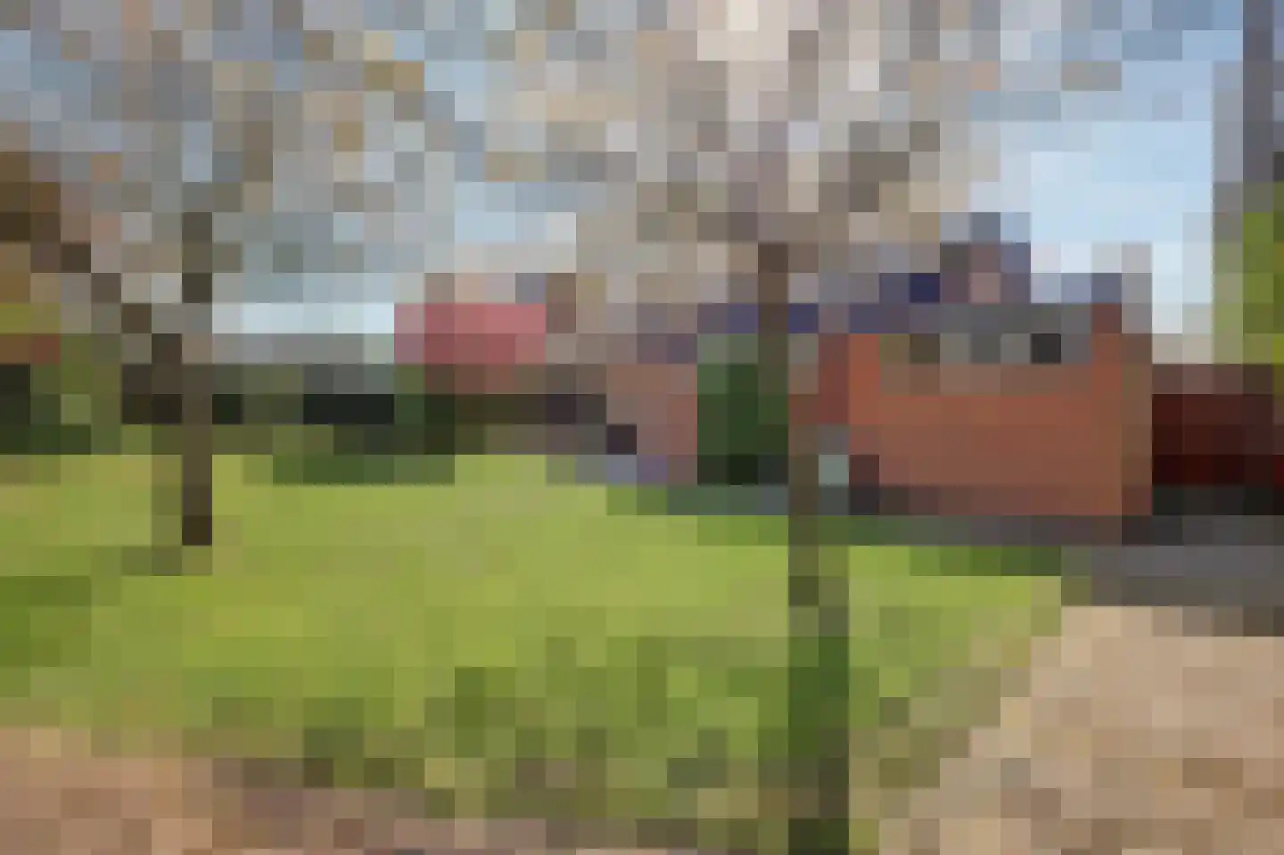 Zeelandsestraat 41 Millingen aan de Rijn thumbnail 44