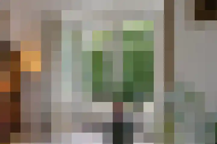Zeelandsestraat 42 Millingen aan de Rijn thumbnail 11