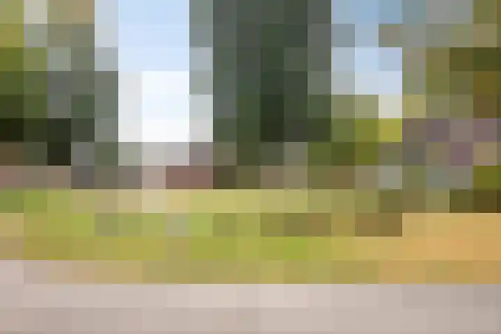Zeelandsingel 56 Arnhem thumbnail 41