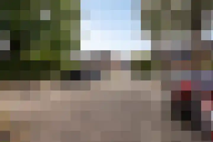 Zeelandsingel 56 Arnhem thumbnail 6