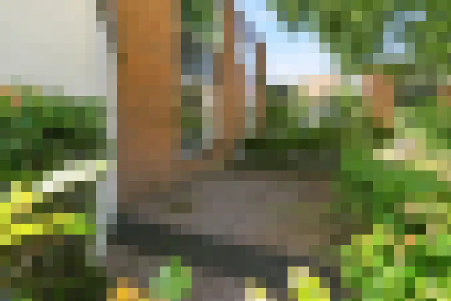 Zeelandsingel 92 Arnhem thumbnail 30