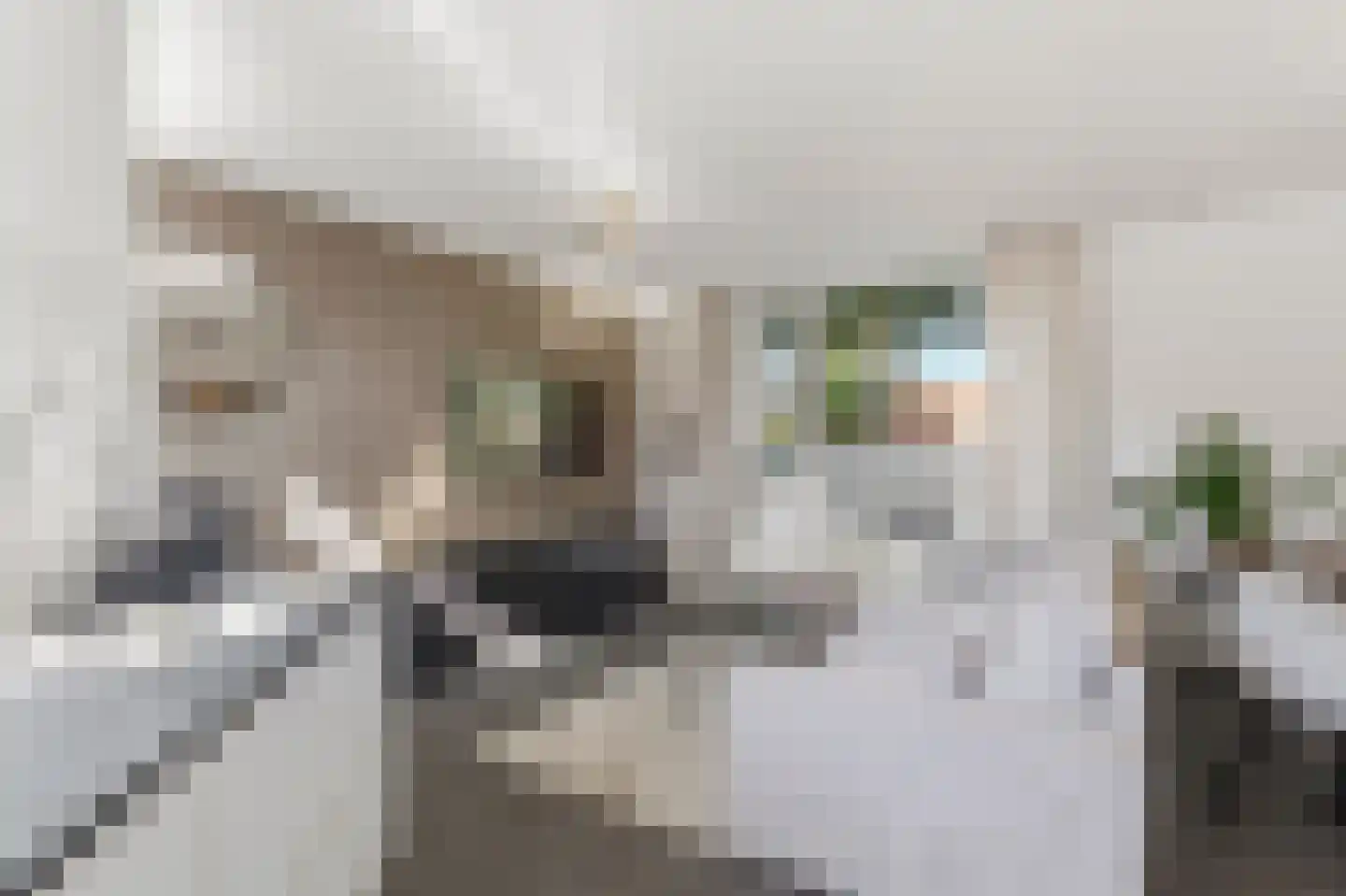 Zeelandsingel 92 Arnhem thumbnail 7