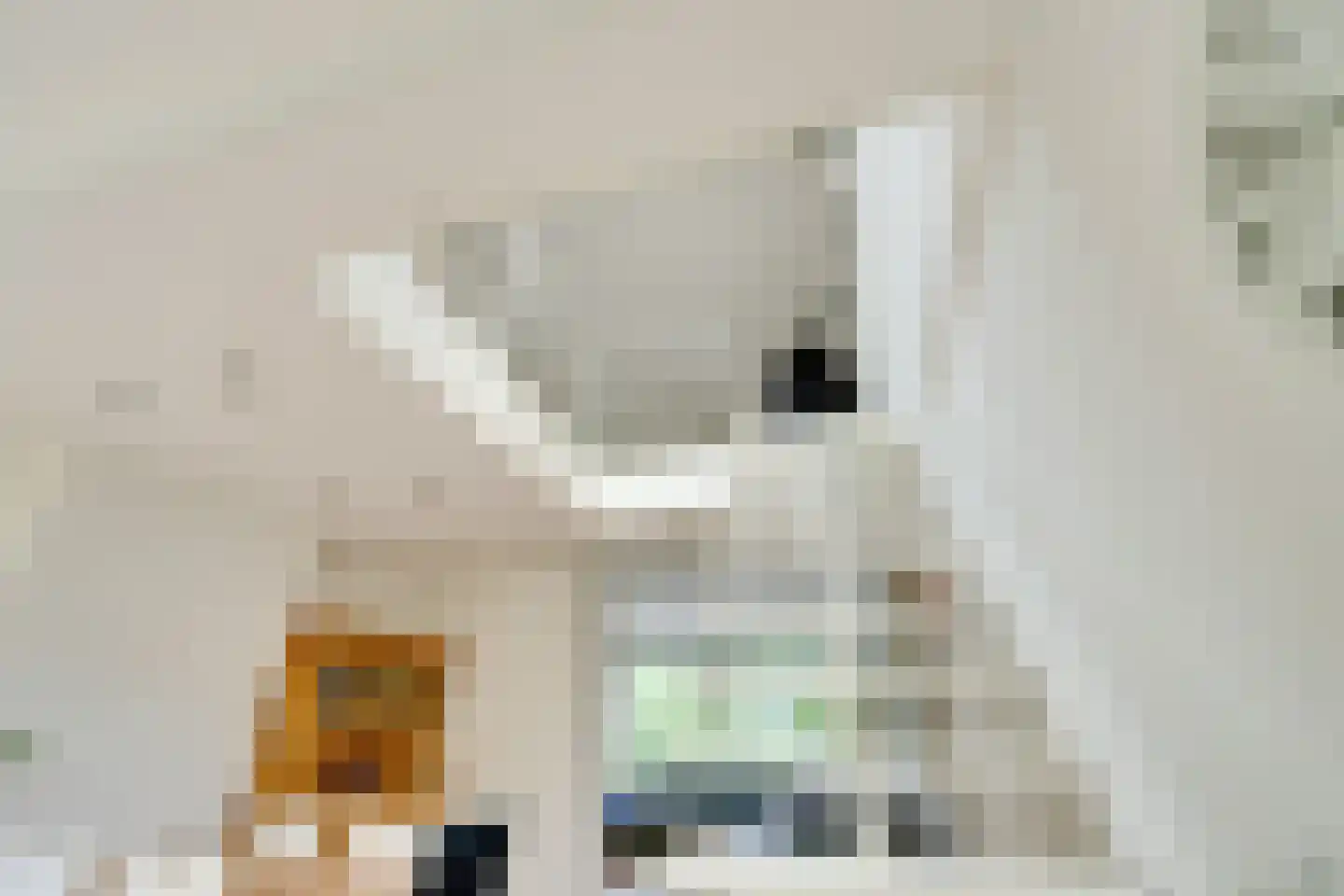 Zeelandstraat 34 3 Amsterdam thumbnail 18