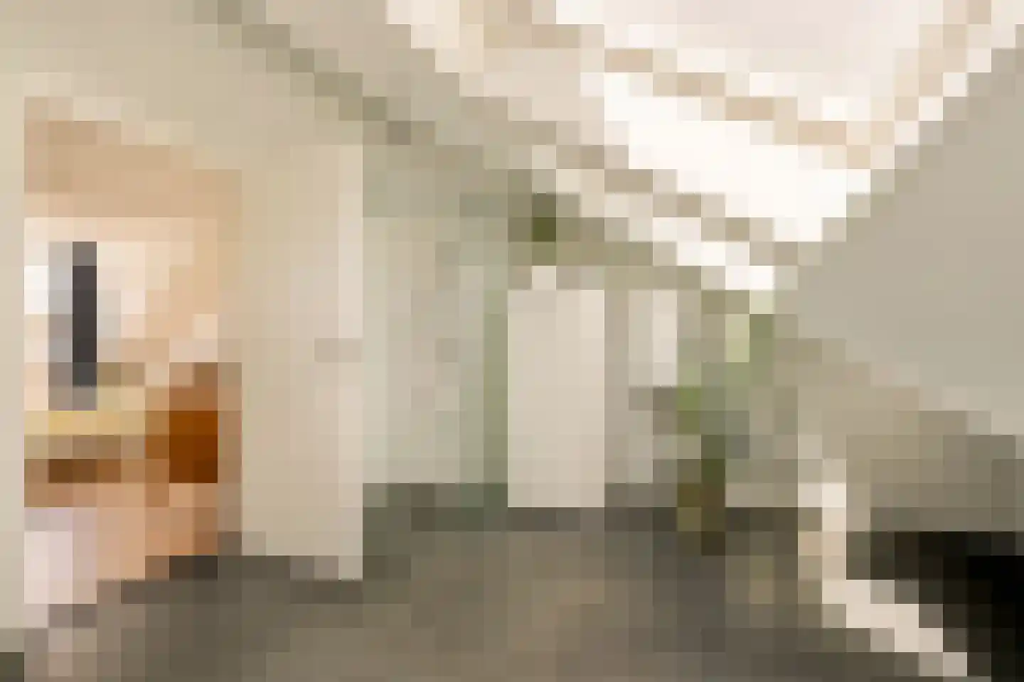 Zeelandstraat 60 3 Amsterdam thumbnail 26