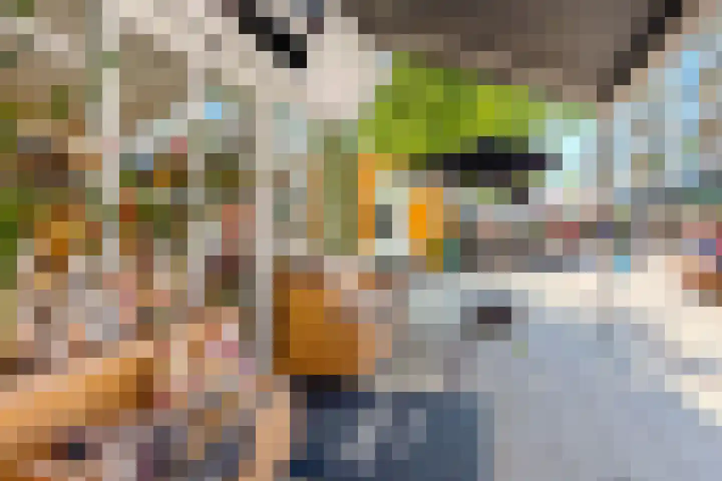 Zeelandstraat 78 1 Amsterdam thumbnail 46
