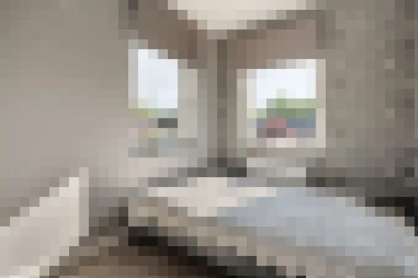 Zeelandstraat 9 Enschede thumbnail 25