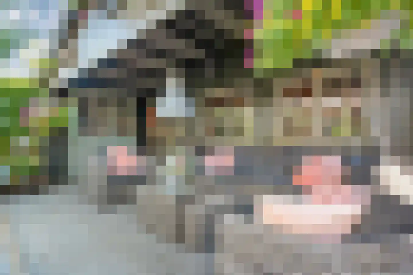 Zeelandstraat 9 Enschede thumbnail 47