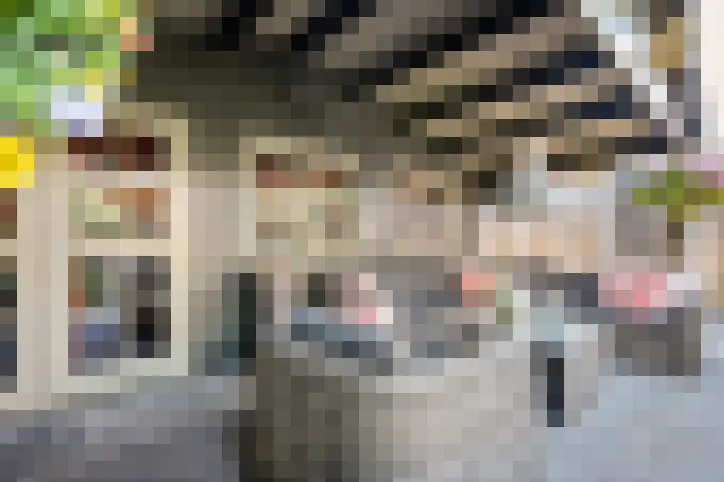 Zeelandstraat 9 Enschede thumbnail 48