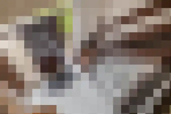 Zeelandstreekje 13 Drouwenermond thumbnail 26
