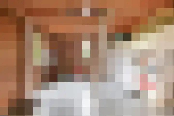 Zeelandstreekje 13 Drouwenermond thumbnail 38