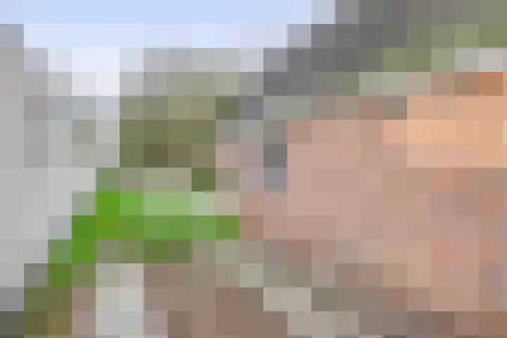 Zeelandstreekje 13 Drouwenermond thumbnail 39