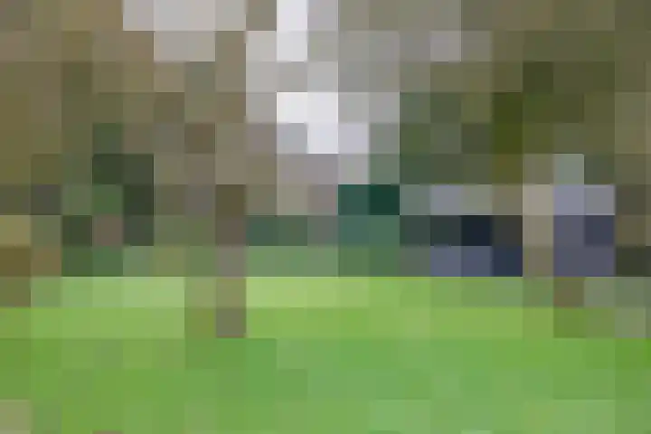 Zeelandstreekje 13 Drouwenermond thumbnail 4