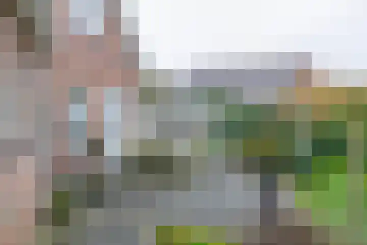 Zeelandstreekje 13 Drouwenermond thumbnail 40