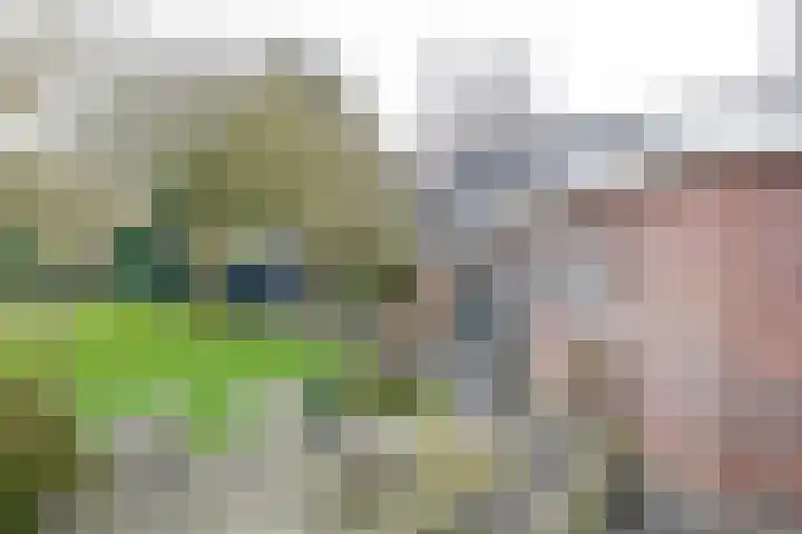 Zeelandstreekje 13 Drouwenermond thumbnail 41