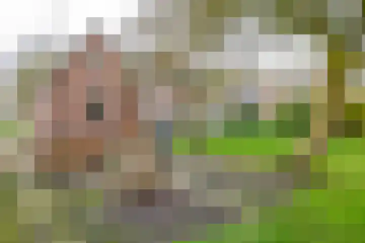 Zeelandstreekje 13 Drouwenermond thumbnail 42