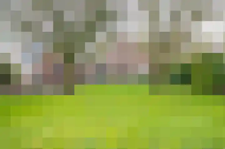 Zeelandstreekje 13 Drouwenermond thumbnail 45