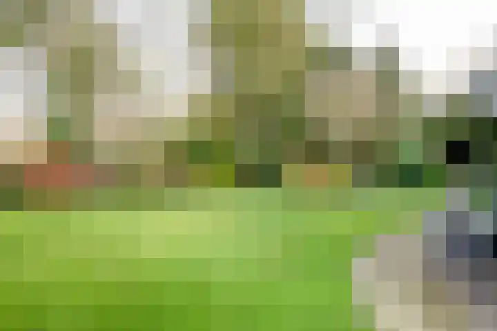Zeelandstreekje 13 Drouwenermond thumbnail 47