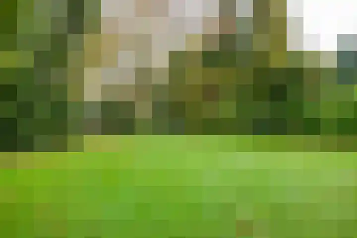 Zeelandstreekje 13 Drouwenermond thumbnail 51
