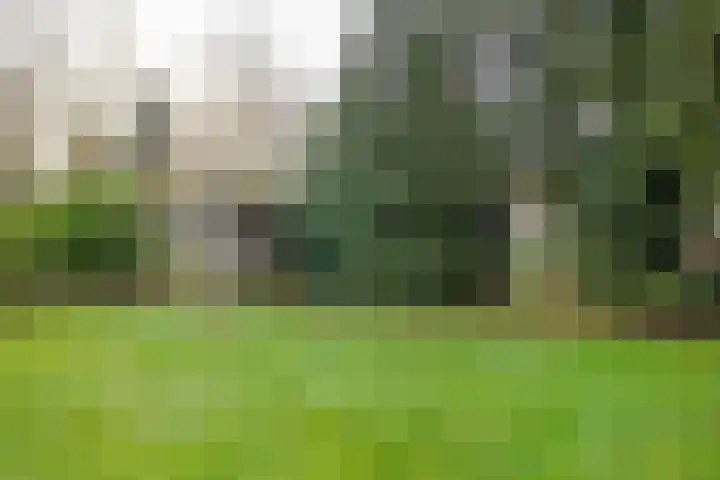 Zeelandstreekje 13 Drouwenermond thumbnail 52
