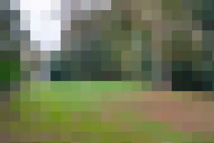 Zeelandstreekje 13 Drouwenermond thumbnail 53