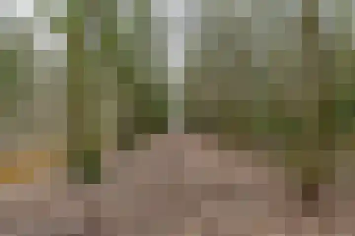 Zeelandstreekje 13 Drouwenermond thumbnail 55