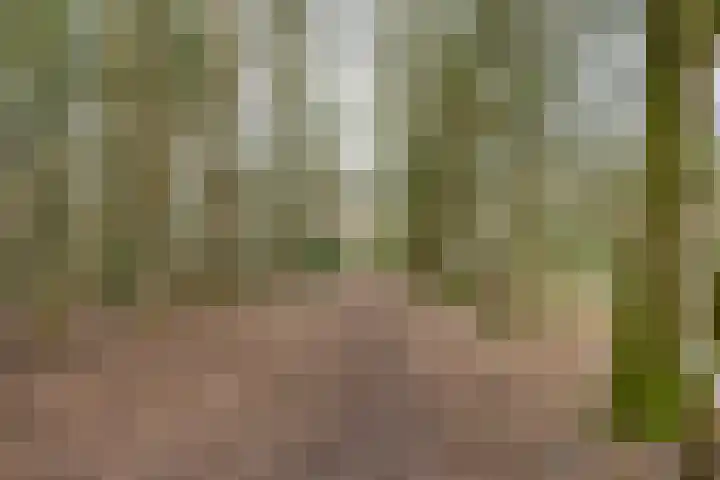 Zeelandstreekje 13 Drouwenermond thumbnail 56