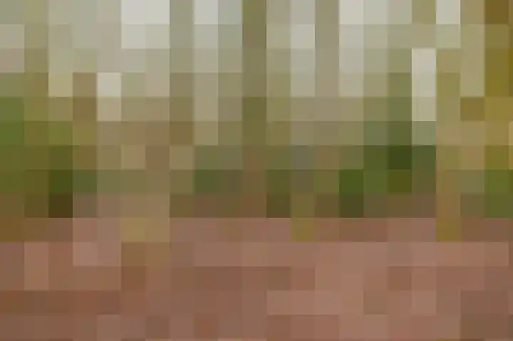 Zeelandstreekje 13 Drouwenermond thumbnail 57