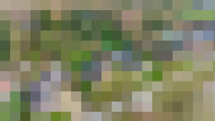 Zeelandstreekje 13 Drouwenermond thumbnail 58