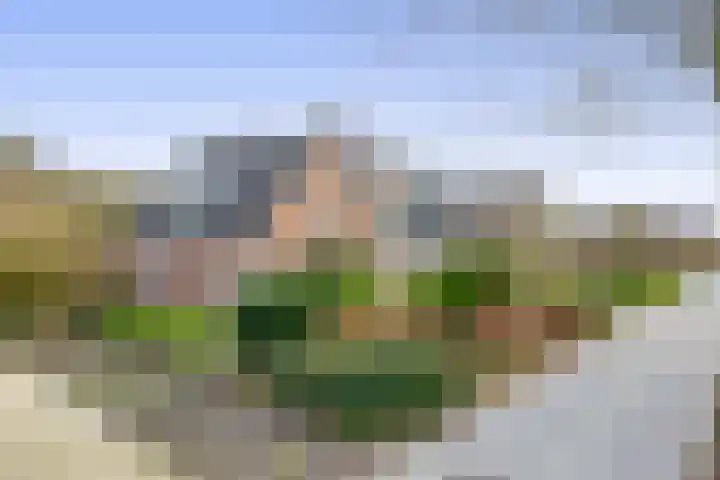 Zeelandstreekje 13 Drouwenermond thumbnail 6