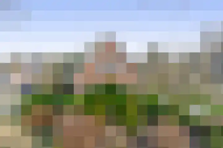 Zeelandstreekje 13 Drouwenermond thumbnail 7