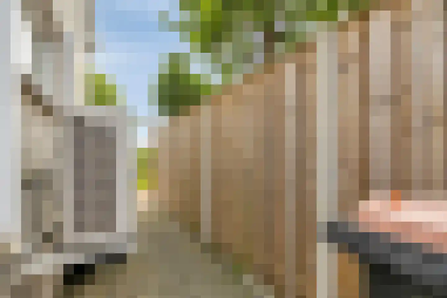 Zeelandweg-Oost 32 Steenbergen thumbnail 25