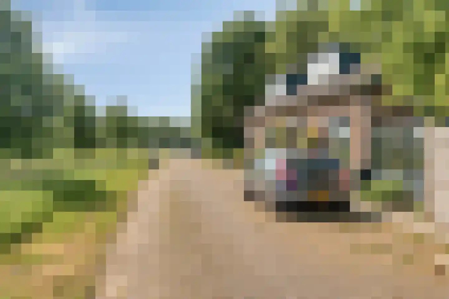 Zeelandweg-Oost 32 Steenbergen thumbnail 31