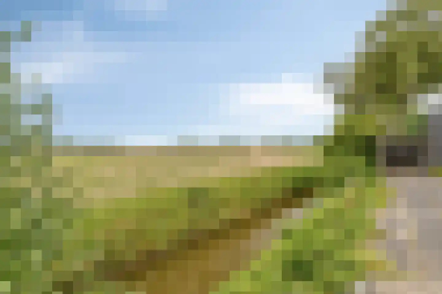 Zeelandweg-Oost 32 Steenbergen thumbnail 4
