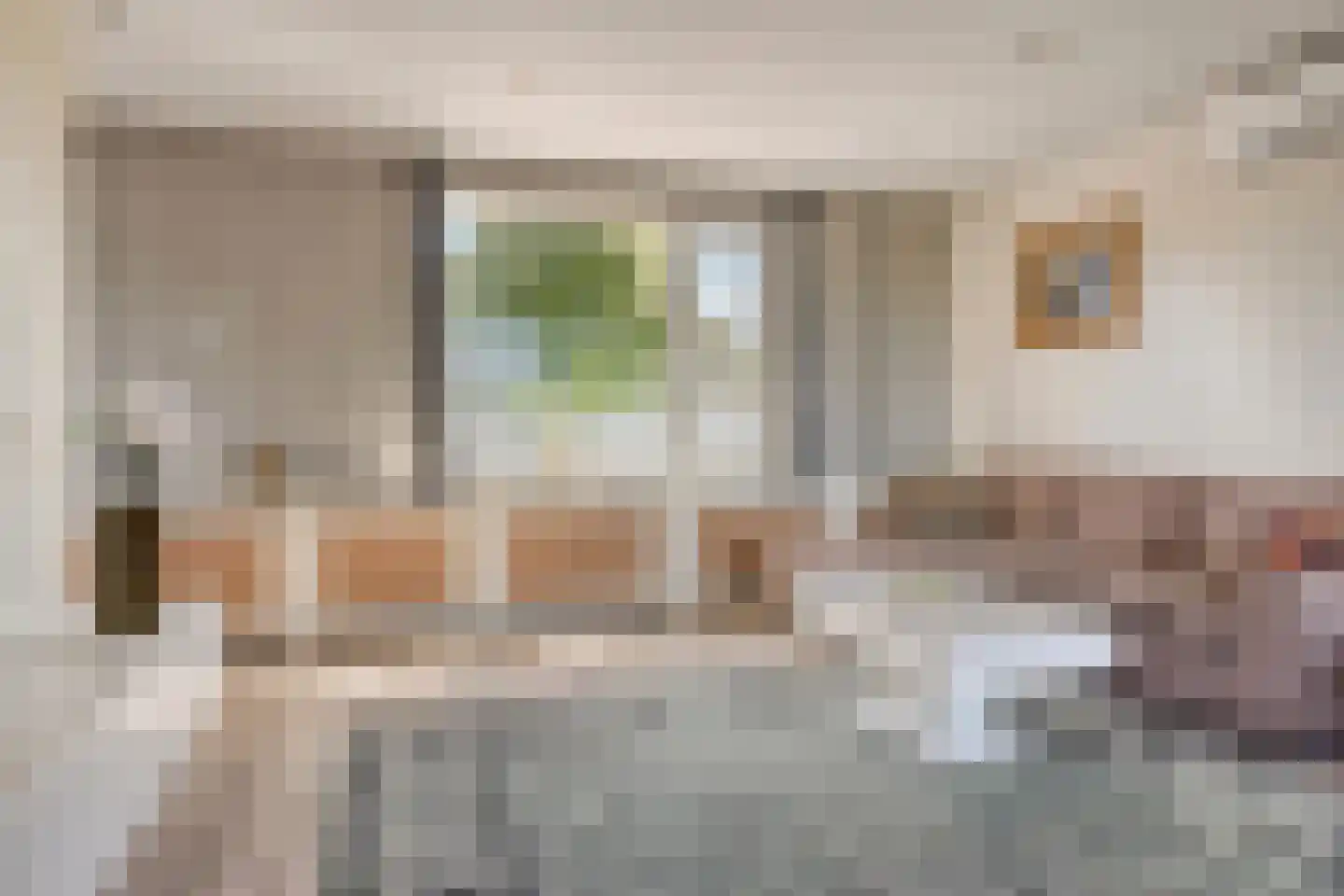 Zeelandweg-Oost 32 Steenbergen thumbnail 7
