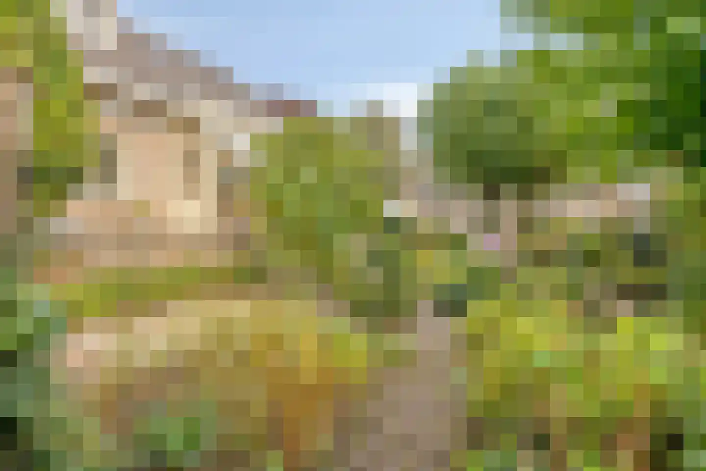 Zeelandweg-Oost 5 Steenbergen thumbnail 40