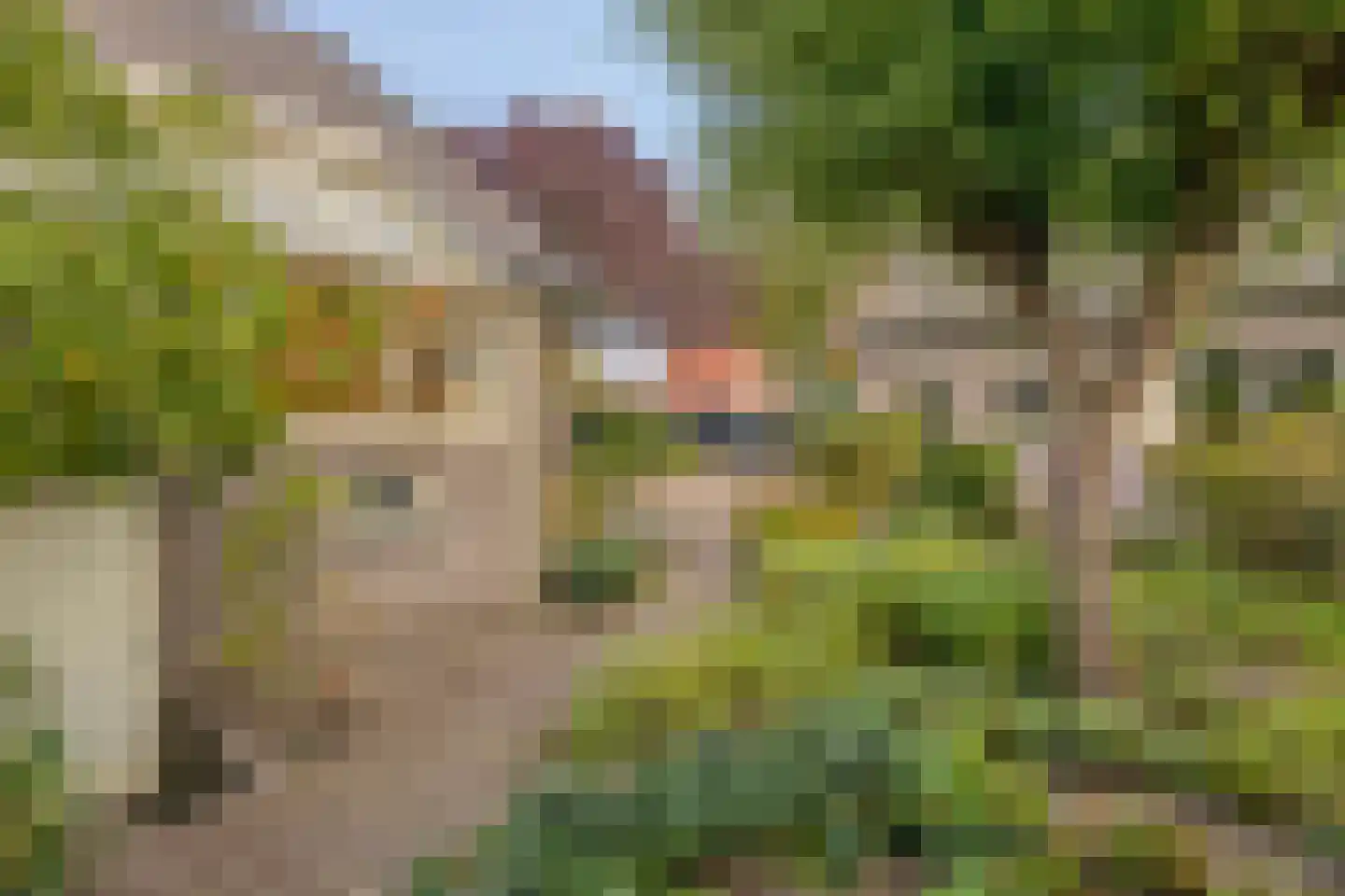 Zeelandweg-Oost 5 Steenbergen thumbnail 42