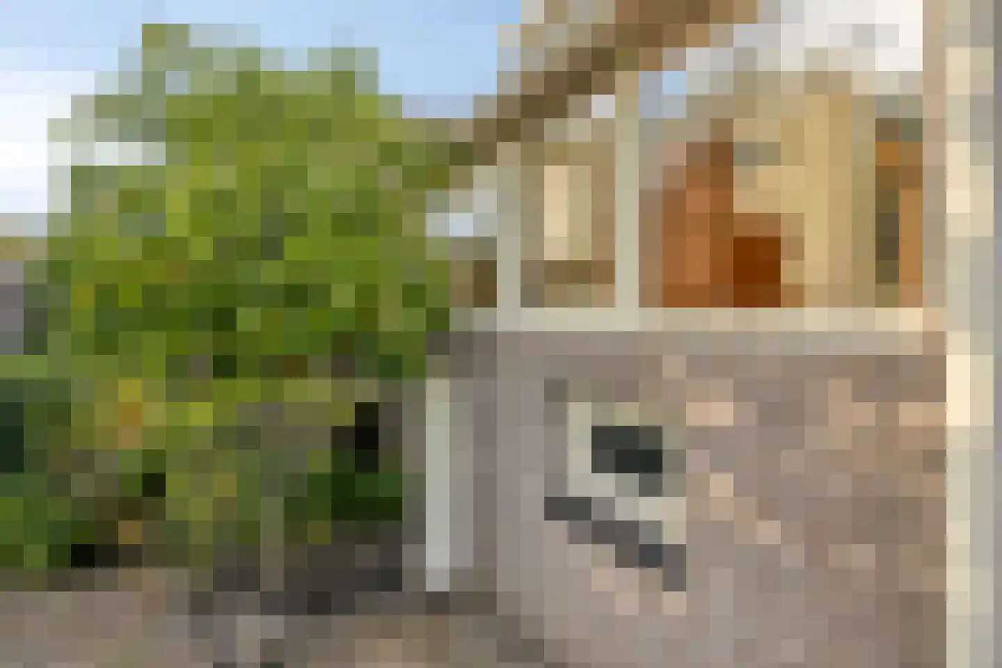Zeelandweg-Oost 5 Steenbergen thumbnail 43