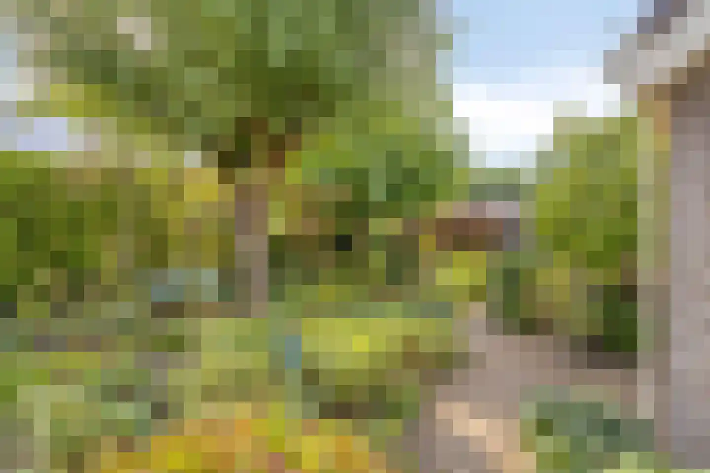 Zeelandweg-Oost 5 Steenbergen thumbnail 5
